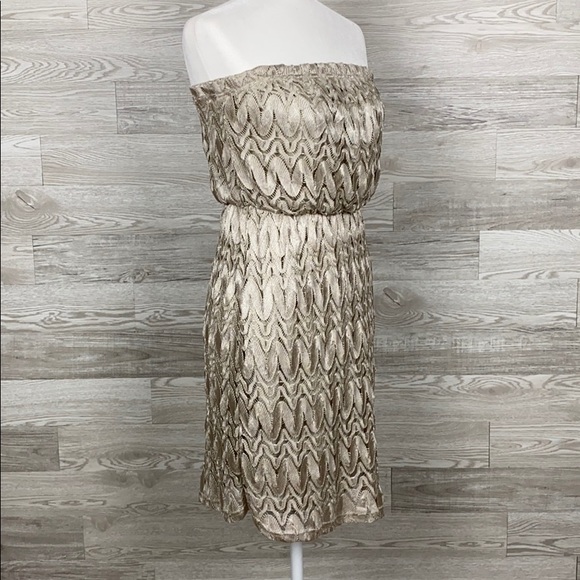 NWT Studio Y Silver Tan StrapLess Dress - Picture 2 of 7